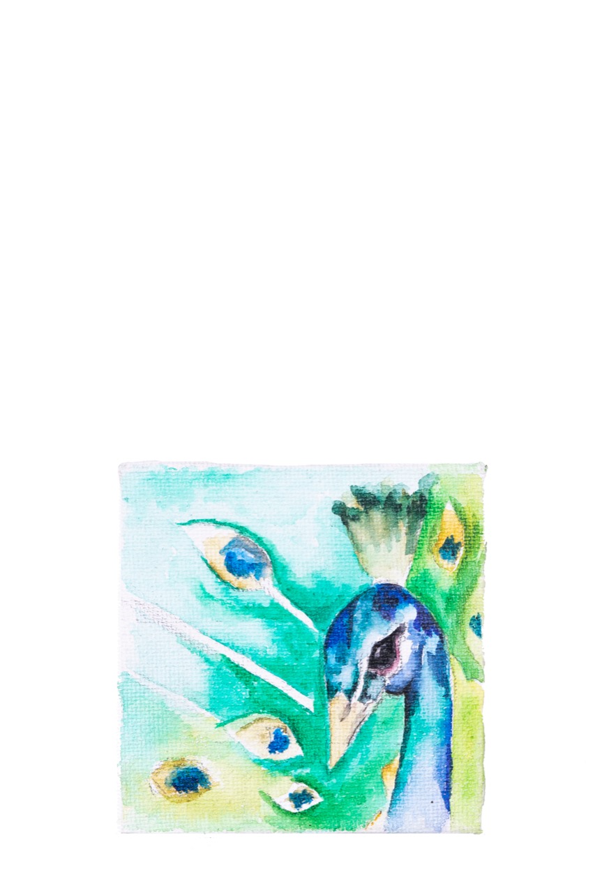 Happy Threads Peacock Themed Artwork Magnets